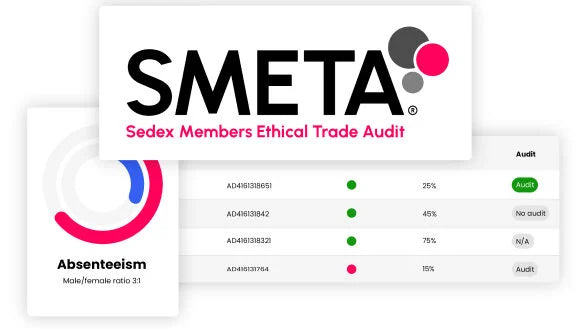 Understanding SMETA: The Gold Standard in Ethical Supply Chain Audits